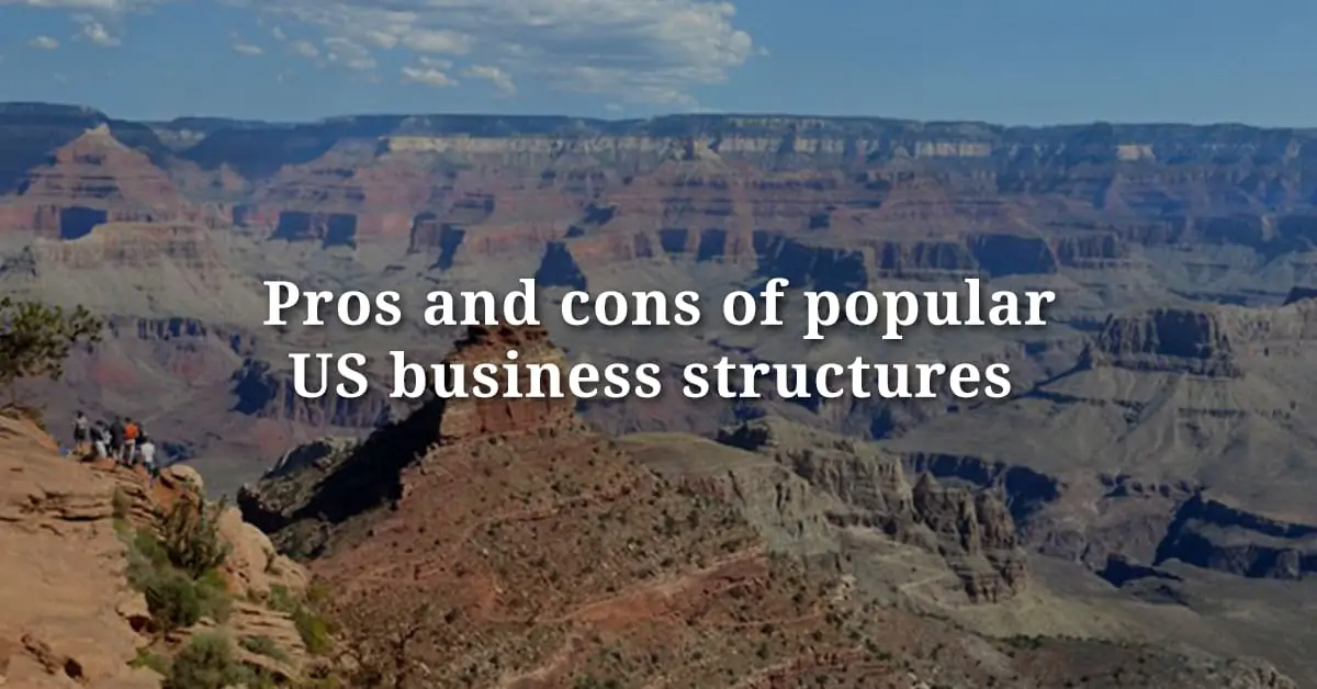 Pros and Cons of popular US business structures