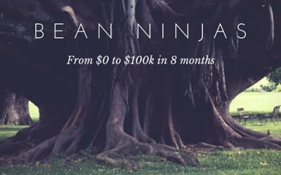 Business Growth Story: Bean Ninjas – from 0 to $100k in 8 months