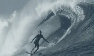 person surfing