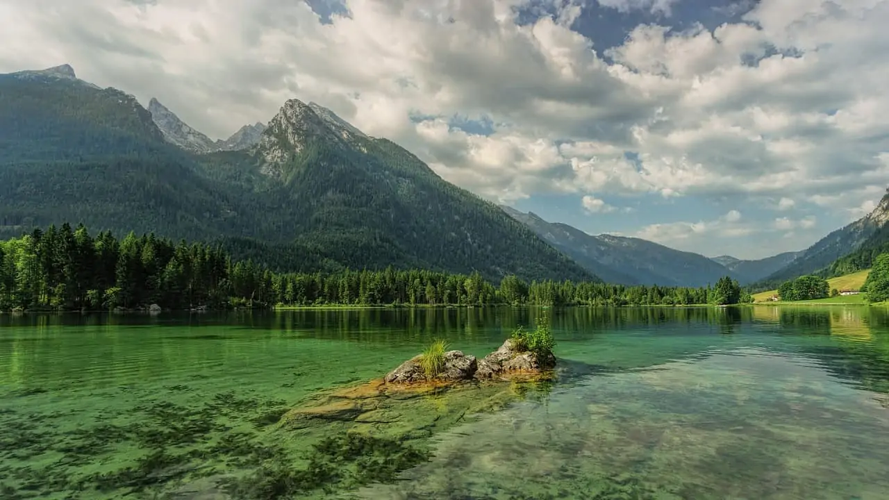 nature with a lake